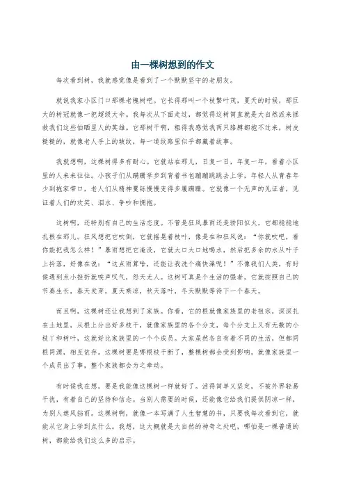 由一棵树想到的作文
