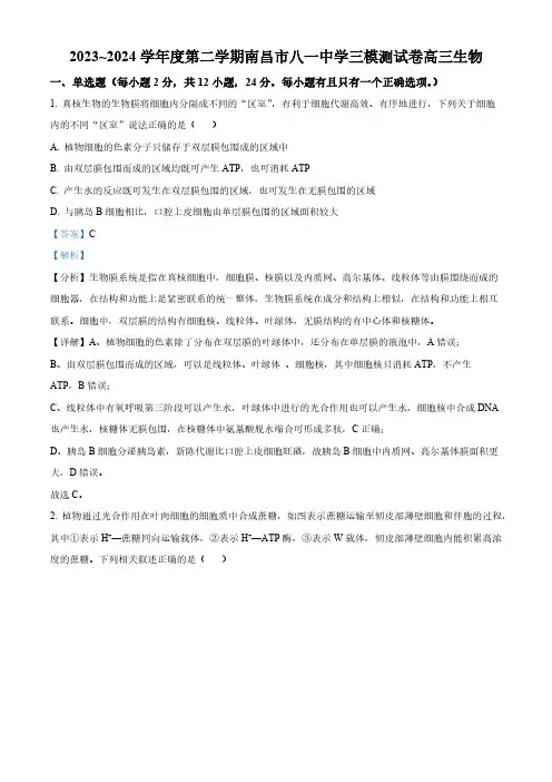 2024届江西省南昌市东湖区南昌市八一中学三模生物试题(解析版)