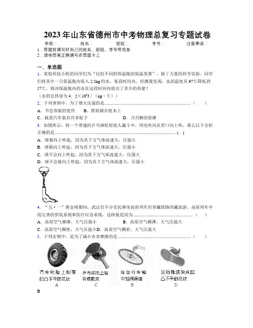 2023年山东省德州市中考物理总复习专题试卷及解析
