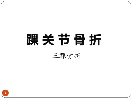 踝关节骨折PPT精选课件