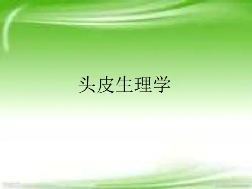头皮生理学课件