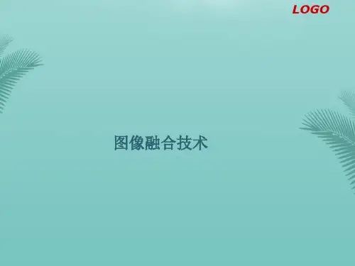 图像融合技术(精选优秀)PPT