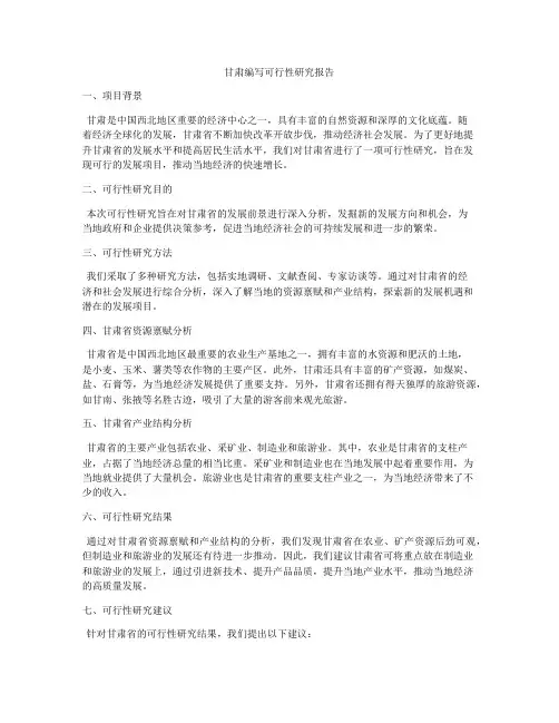 甘肃编写可行性研究报告