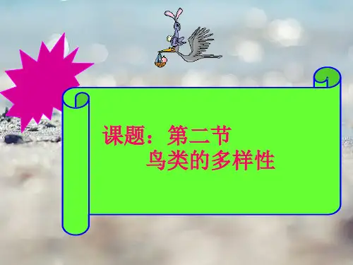 人教版鸟类的多样性PPT精品课件