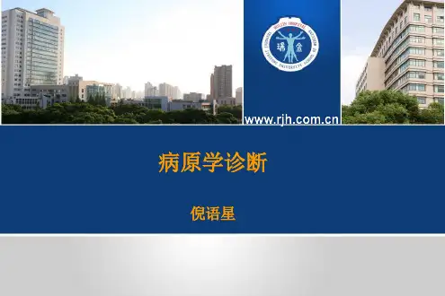 病原学诊断——倪语星