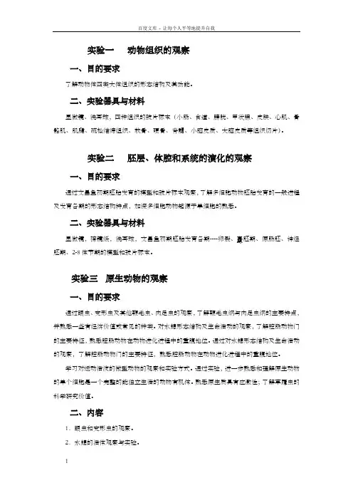 动物组织观察