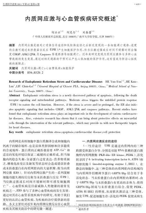 内质网应激与心血管疾病研究概述_何云云