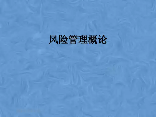风险管理概论