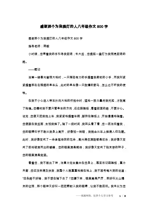 感谢那个为我提灯的人八年级作文800字