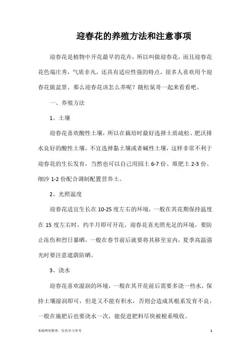 迎春花的养殖方法和注意事项
