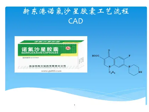 诺氟沙星生产工艺流程设计ppt课件