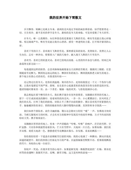 我的世界开始下雪散文