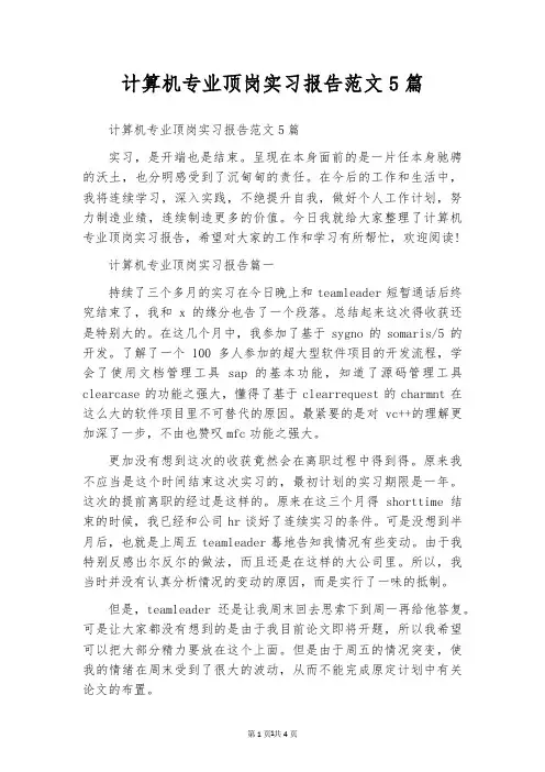 计算机专业顶岗实习报告范文5篇