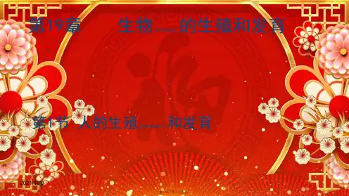 八年级生物上册 第19章 第1节 人的生殖和发育(第2课时)课件