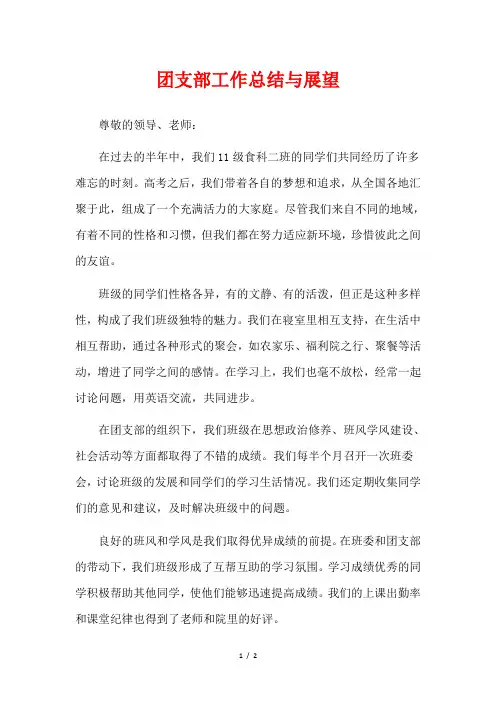 团支部工作总结与展望