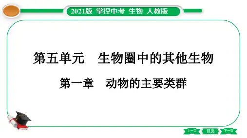〖精品〗八年级上册生物-第5单元 第1章 动物的主要类群