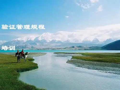 医药企业最新验证管理规程(PPT 61张)