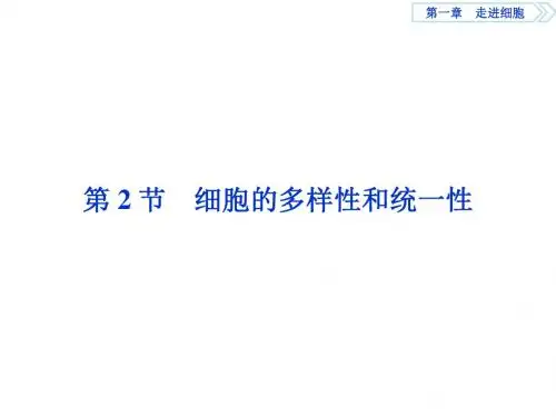 高中同步创新课堂生物优化方案人教版必修1课件：第一章第2节