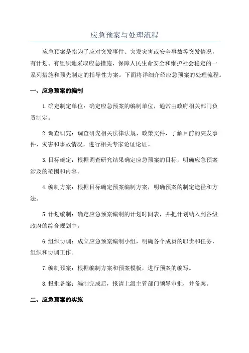 应急预案与处理流程