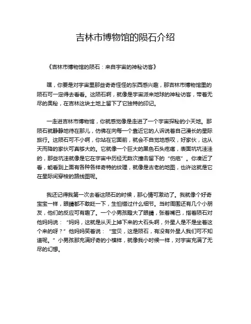 吉林市博物馆的陨石介绍