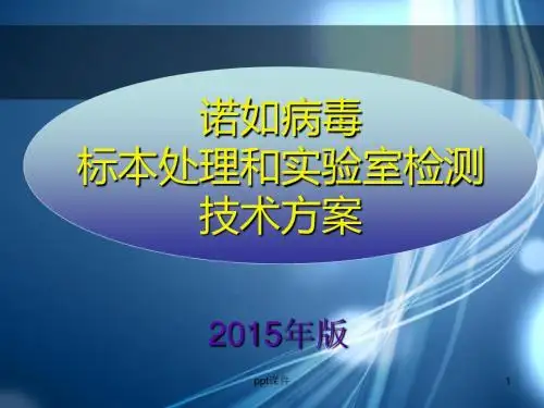 诺如病毒标本处理和实验室检测技术方案  ppt课件