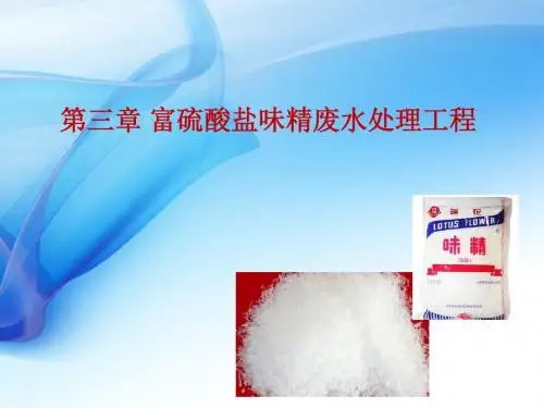 硫酸盐味精废水处理