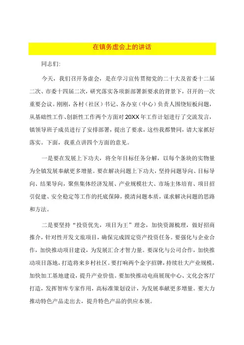 在镇务虚会上的讲话