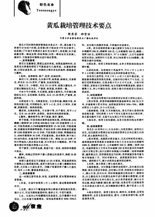 黄瓜栽培管理技术要点