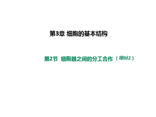 细胞器之间的分工合作PPT优秀课件2