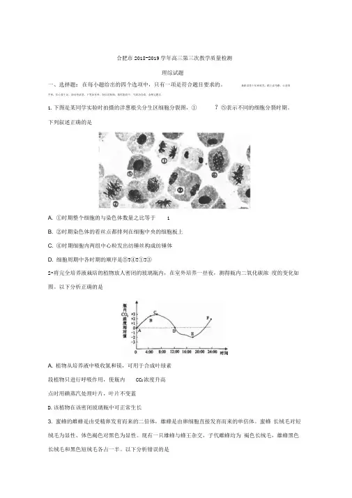 安徽省合肥市2018-2019学年高三第三次教学质量检测理科综合试题