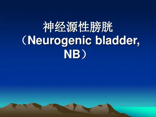 神经源性膀胱(Neurogenic