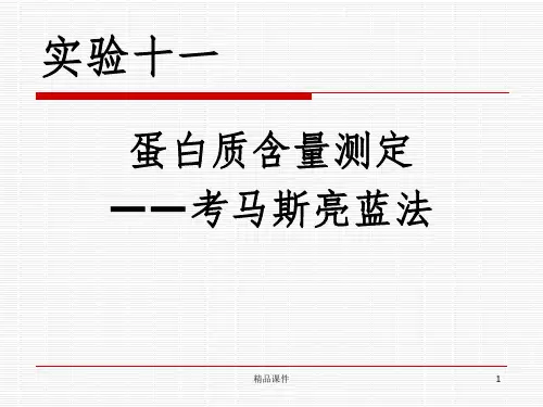 蛋白质含量测定-考马斯亮蓝法ppt课件