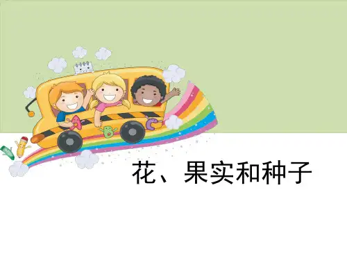 《花、果实和种子》新的生命-教科版四年级科学下册PPT课件
