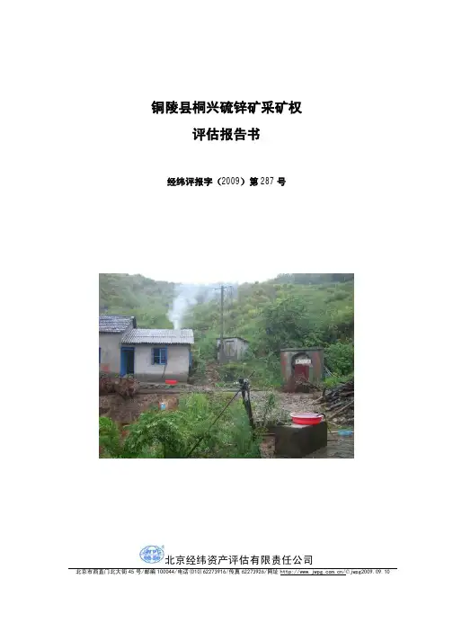 铜陵县桐兴硫锌矿采矿权评估报告书