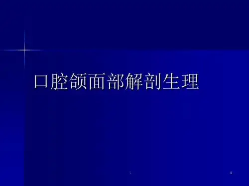 口腔颌面部解剖ppt课件