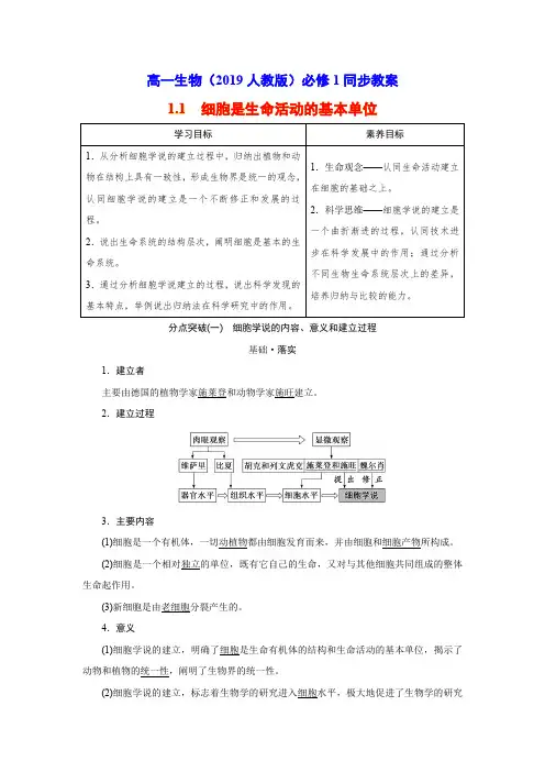 高一生物(2019人教版)必修1同步教案：1.1 细胞是生命活动的基本单位