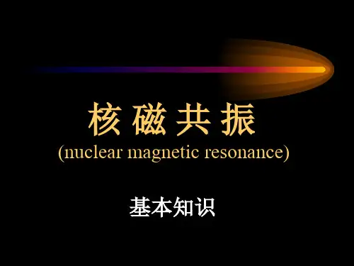 核磁共振基本知识ppt课件