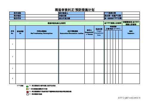供方审核记录范例