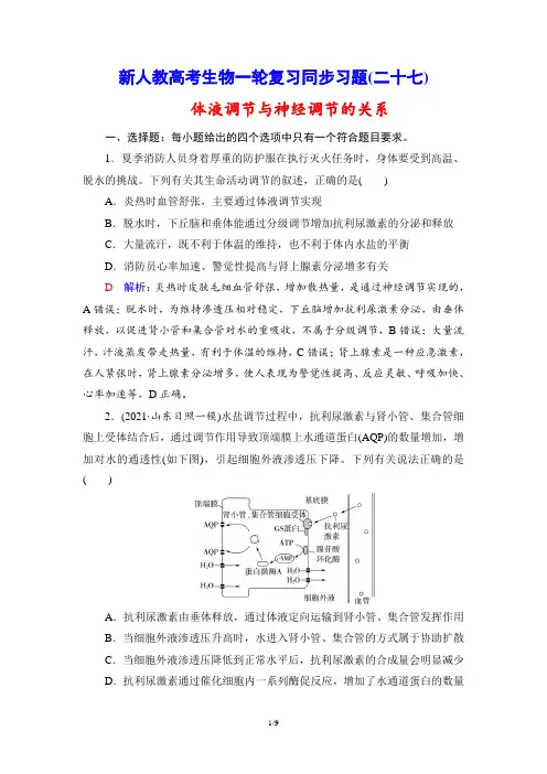 新人教高考生物一轮复习同步习题(27) 体液调节与神经调节的关系