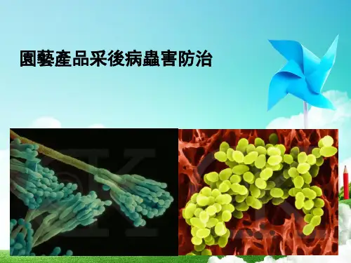 园艺产品采后商品化处理 (2)