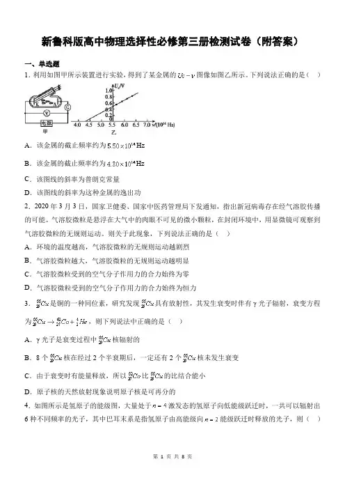 新鲁科版高中物理选择性必修第三册检测试卷(附答案)