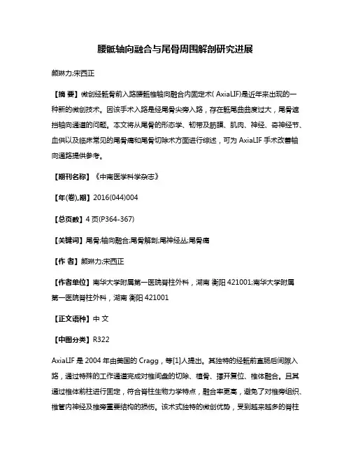 腰骶轴向融合与尾骨周围解剖研究进展