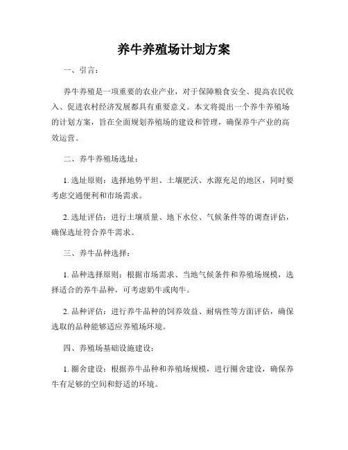 养牛养殖场计划方案