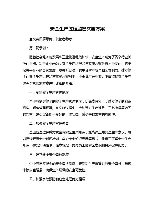 安全生产过程监管实施方案