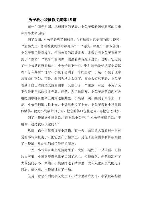 兔子救小袋鼠作文集锦15篇精选