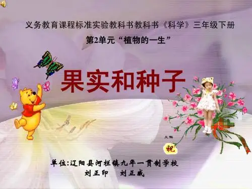 小学三年级科学下册《果实和种子》课件