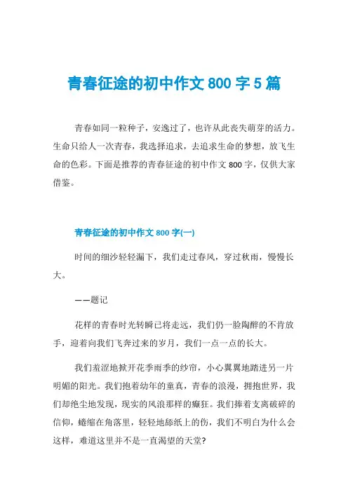 青春征途的初中作文800字5篇