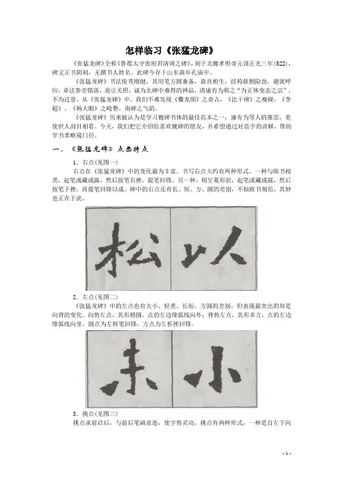 怎样临习张猛龙碑重点讲义资料