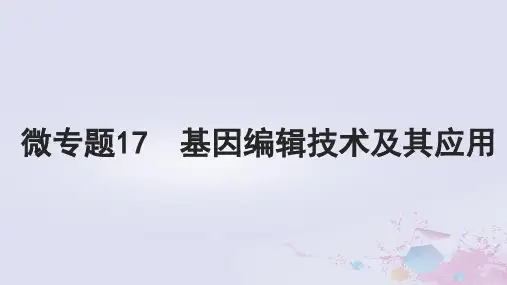 高考生物一轮总复习选择性必修3第十单元生物技术与工程微专题17基因编辑技术及其应用