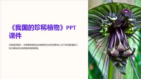 《我国的珍稀植物》课件